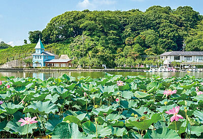 蓮華寺池公園 約4,040m（車で7分）