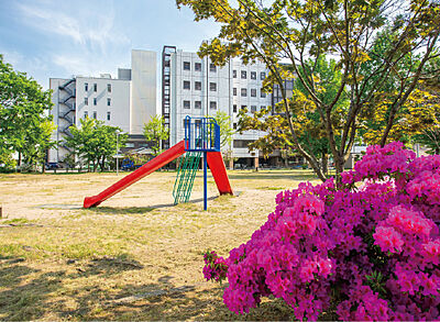 太陽公園 約570m(徒歩8分)