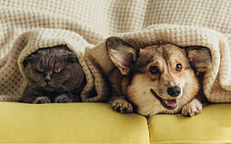 アルファステイツ博多サウス 設備