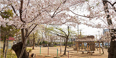 からさわ公園 約510m（徒歩7分）