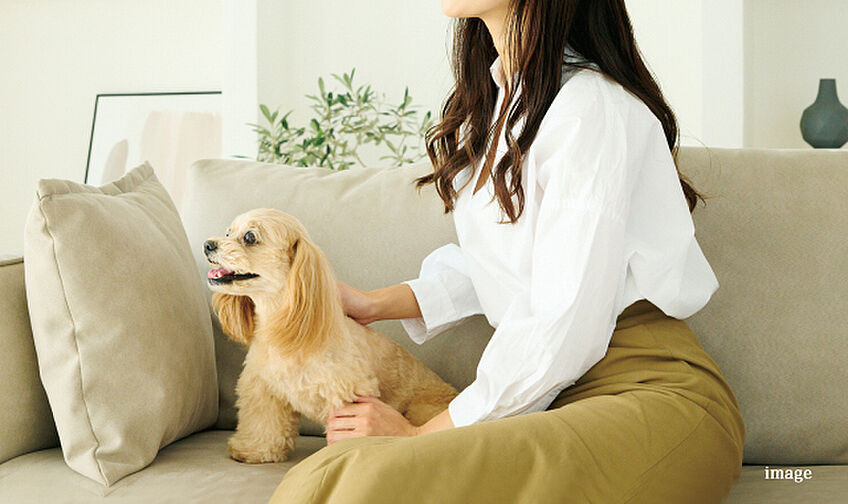 モントーレ六本松 ザ・マーク 設備