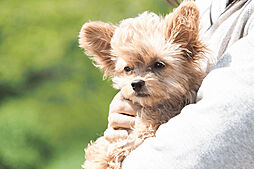 ポレスター唐津ザ・リミテッド 設備