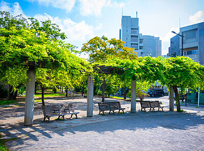 新宿公園 約340m（徒歩5分）