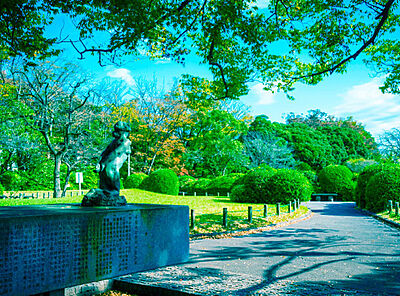亥鼻公園 約720m（徒歩9分）