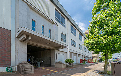 市立岡山中央小学校 約520m(徒歩7分)