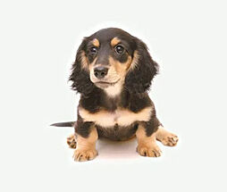 ファーネスト博多南駅グレイス 設備