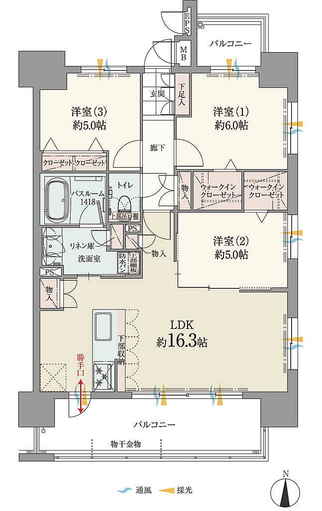 ファーネスト鹿大前グレイス 間取り D