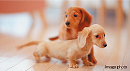 クリーンリバーフィネス学園前ミッドステージ 設備