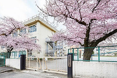 八王子市立第五小学校 約380m(徒歩5分)
