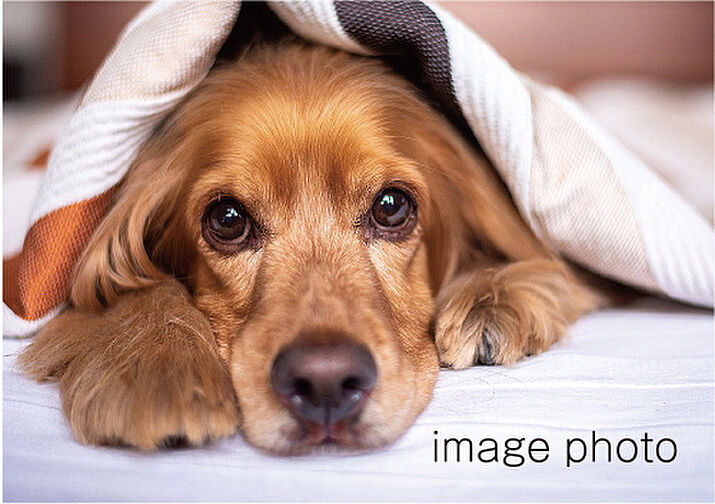 プレシス相模原レジデンス 設備