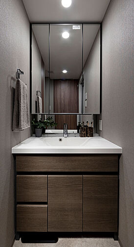 プレシス相模原レジデンス 専有部