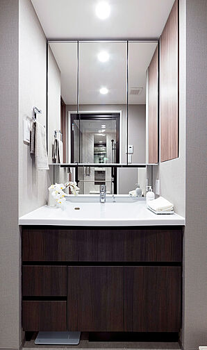 プレシス鶴間レジデンス 専有部