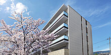 ヴィークコート蕨南町桜並木