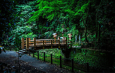 等々力渓谷公園 約1,300m(徒歩17分)