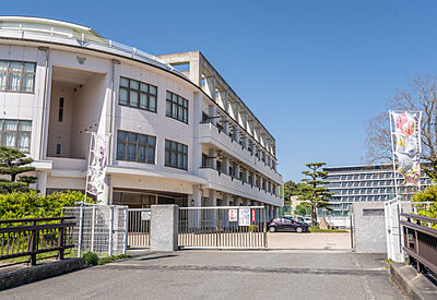 白石小学校 約290m(徒歩4分)