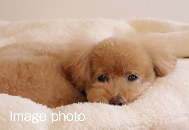 ロイヤルガーデン倉敷駅東 設備