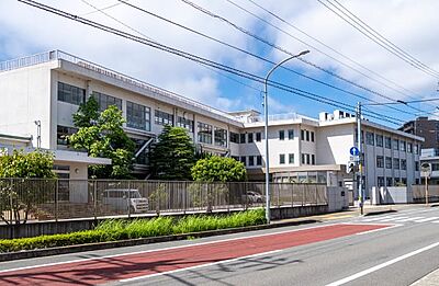 鳴門教育大学附属小学校 約830m(徒歩11分)