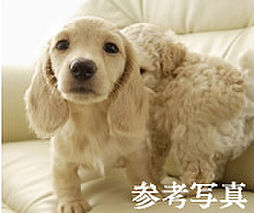 イーグルコート京都二条 設備