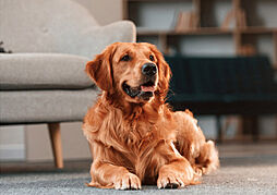 プレイズ菊川駅前 設備