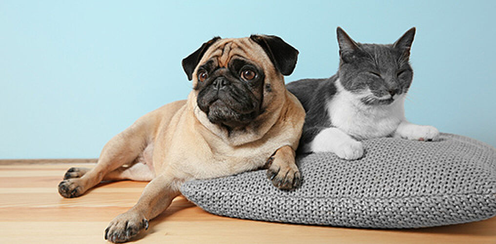 ファインレジデンス川越八幡通り 設備