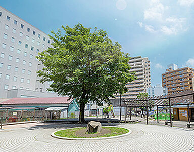 船森公園 約430m（徒歩6分）