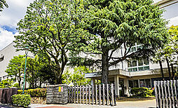 [周辺環境画像] 武蔵野市立第一中学校（通学指定校）
約1,140m（徒歩15分）