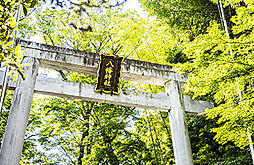 [周辺環境画像] 荻窪八幡神社
約110m（徒歩2分）