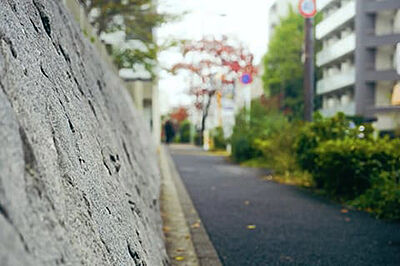 現地周辺の街並み 約220m(徒歩3分)