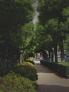 現地周辺の街並み 約370m(徒歩5分)