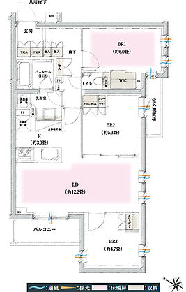 イノバス石神井公園 間取り D