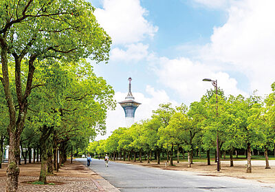 花博記念公園鶴見緑地 約840m（自転車5分）