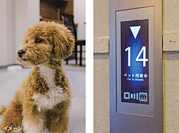 グリーンヒル金池ミッドタウンプレミアム 設備