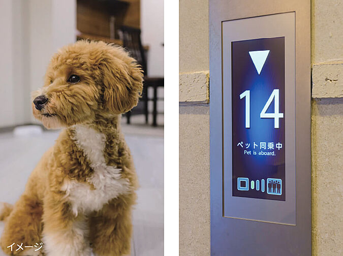 グリーンヒル金池ミッドタウンプレミアム 設備