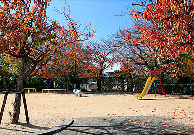 東藤江サクラ公園 約670m(徒歩9分)