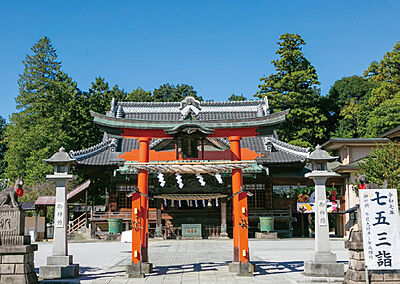 箭弓稲荷神社 約660m (徒歩9分)