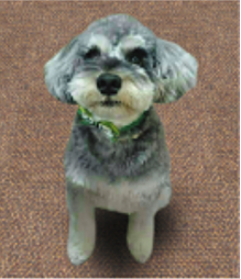 ピアッツァコート平城山 設備