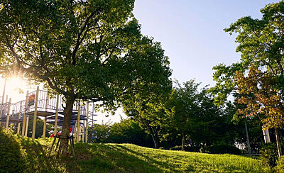 苔谷公園 約180m(徒歩3分)