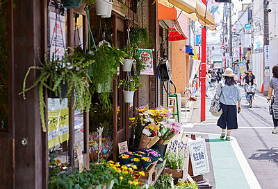 ウルトラマン商店街 約560m(徒歩7分)