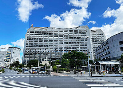 沖縄県庁 約100m（徒歩2分）
