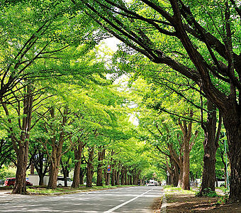 北海道大学 約350m(徒歩5分)