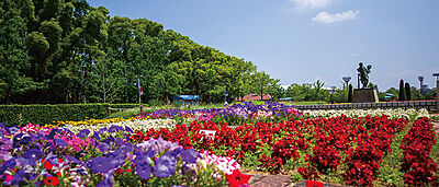 長居公園 約300m（徒歩4分）
