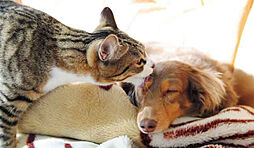 イノバス名駅 設備