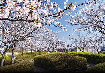 朝倉親水公園 約200m(徒歩3分)