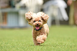 オープンレジデンシア室見 設備