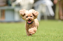 イノバス大濠公園 設備