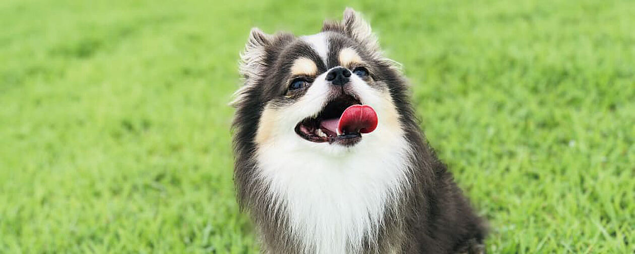 ブランシエラ国分中央 設備