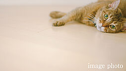 グローベル草加 ザ・プレミア 設備