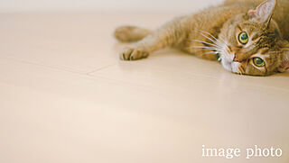 グローベル草加 ザ・プレミア 温水式床暖房