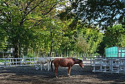 板橋こども動物園 (徒歩9分)