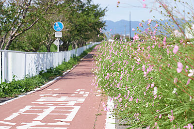 びわ湖よし笛ロード 約800m(徒歩10分)